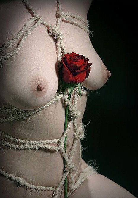 Photo by Schadenfreude with the username @Schadenfreude,  December 1, 2016 at 3:20 AM and the text says '#female  #bdsm  #sub  #submissive  #rope  #rope  #bondage  #tied  #beautiful  #flowers  #rose  #roses  #shibari'