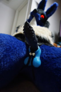 Photo by BigTittyTusky with the username @BigTittyTusky, who is a verified user,  December 11, 2018 at 10:52 PM. The post is about the topic Furry and the text says 'Mmmf~ #strapon #dildo'