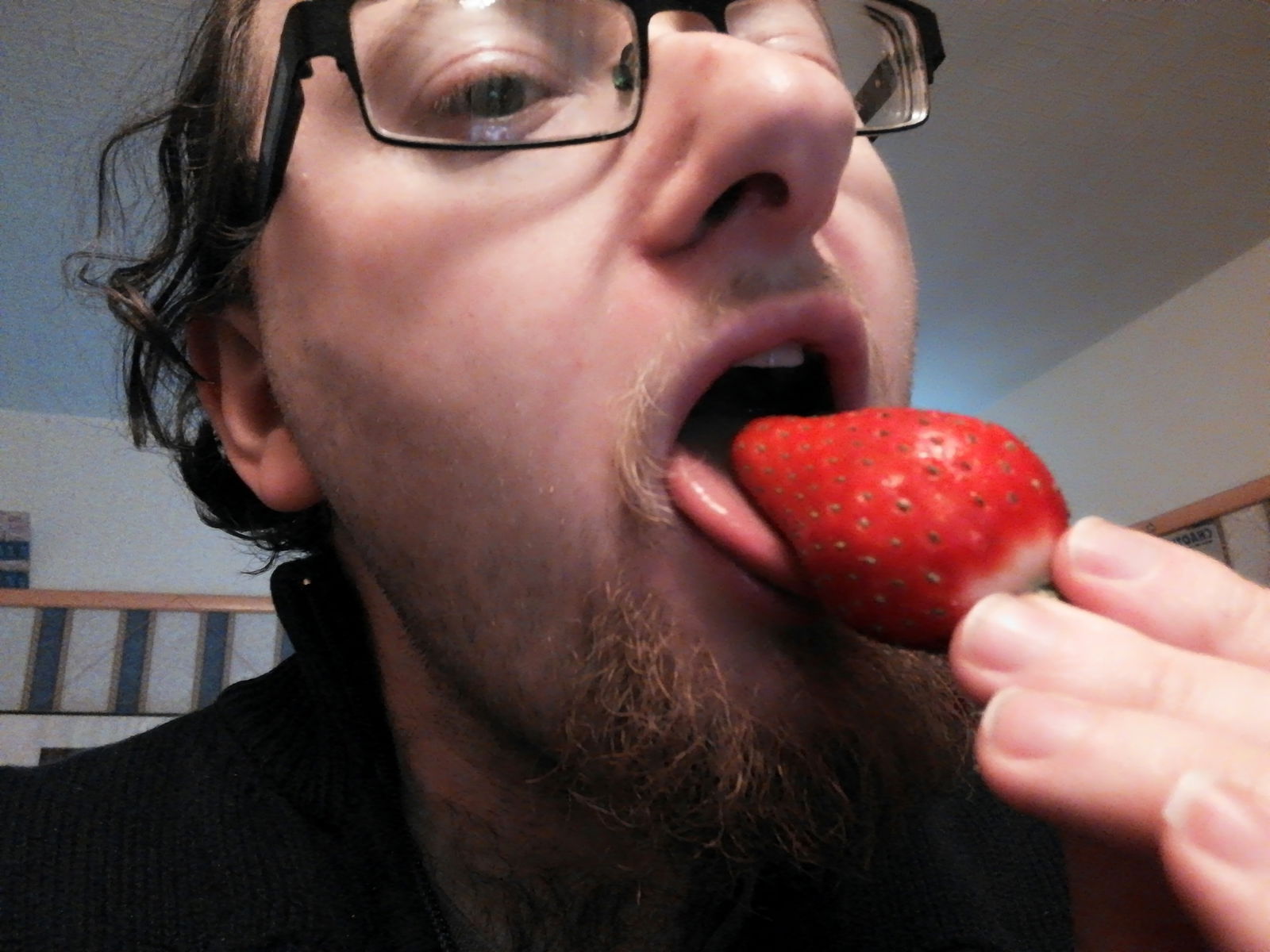 Album by CatBoi with the username @CatBoi, who is a verified user,  December 11, 2018 at 4:23 AM and the text says 'Some light strawberry action. #strawberries #strawberry #fruit #lick #food #foodporn'