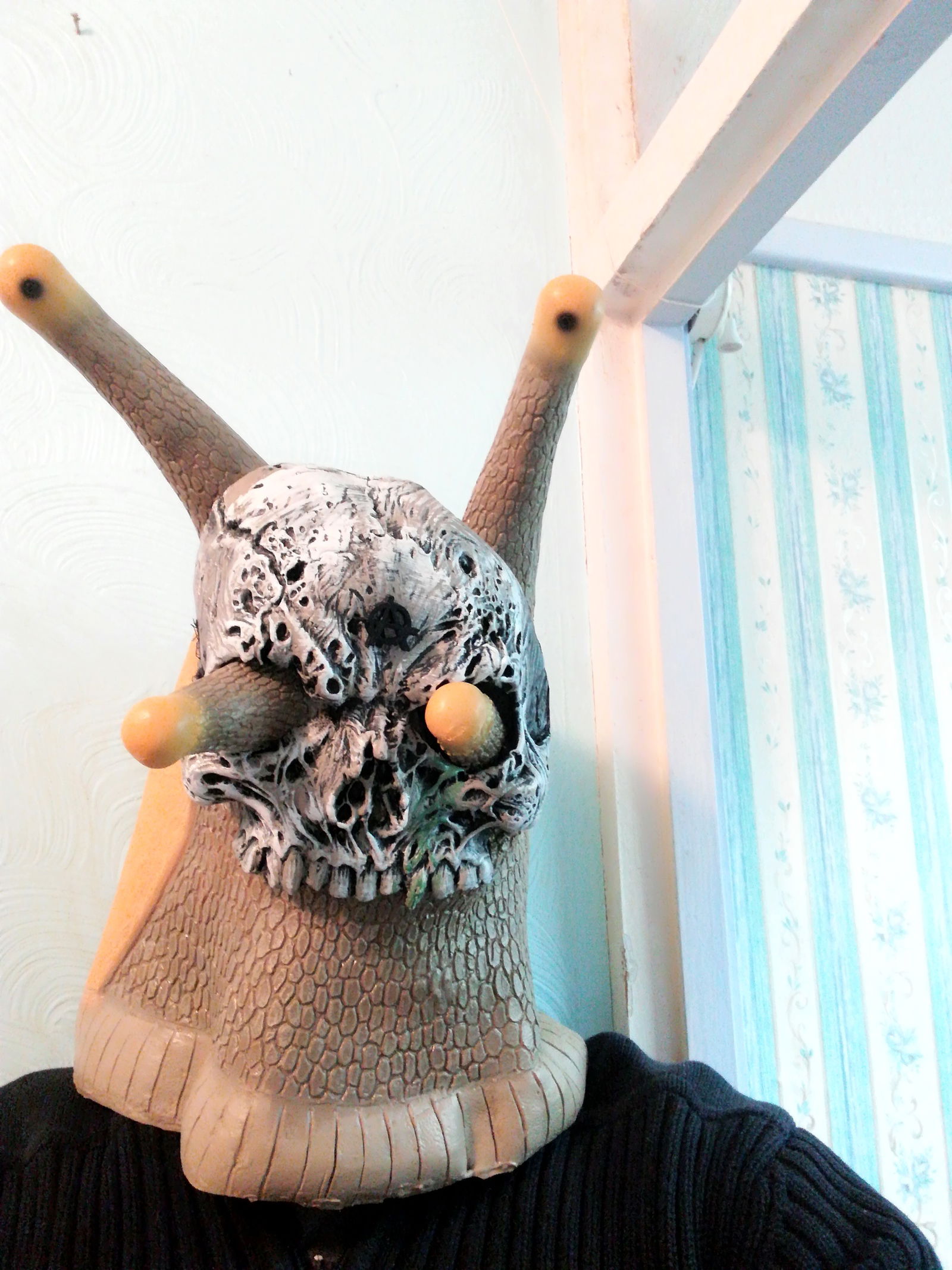 Photo by CatBoi with the username @CatBoi, who is a verified user,  December 13, 2018 at 6:07 PM and the text says 'Banana slug with skull mask. Just imagine me wearing it naked, I'll also point out i can't see at all in it, so i guess thats an extra kink. #mask #masks #slug #bananaslug #latex #skull #anarchy #blind'