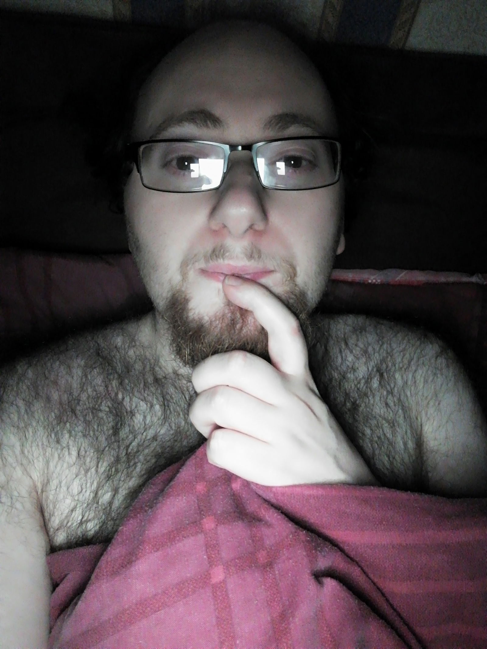 Album by CatBoi with the username @CatBoi, who is a verified user,  January 29, 2019 at 4:36 PM and the text says '#portrait #seminude #amateur #hairy #selfie #bed'