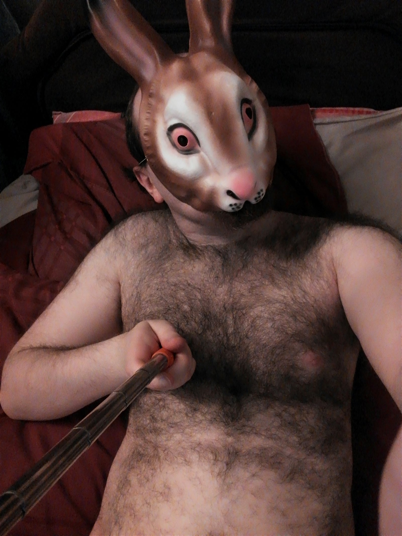 Photo by CatBoi with the username @CatBoi, who is a verified user,  December 15, 2018 at 7:23 PM and the text says '#rabbit #hare #mask #hairy #cock #dick'