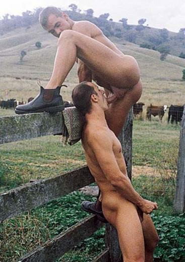 Watch the Photo by sydhotguys with the username @sydhotguys, who is a verified user, posted on January 17, 2019. The post is about the topic Gay Cowboys & Farmers.