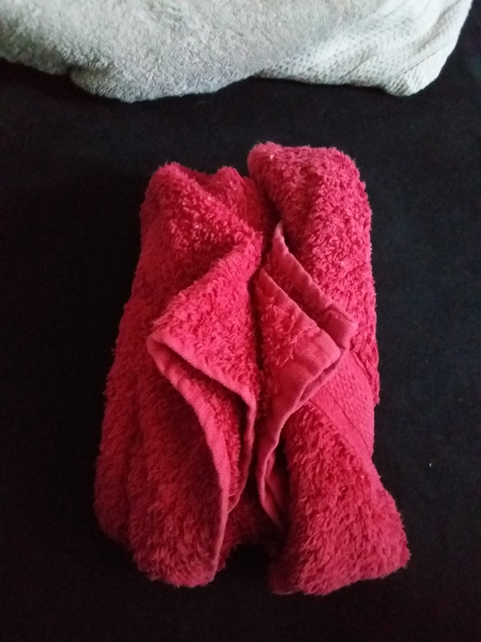 Photo by KiwiCookieDough with the username @KiwiCookieDough, who is a verified user,  January 26, 2019 at 6:44 AM. The post is about the topic Amateurs and the text says 'My first attempt at adult towel art'