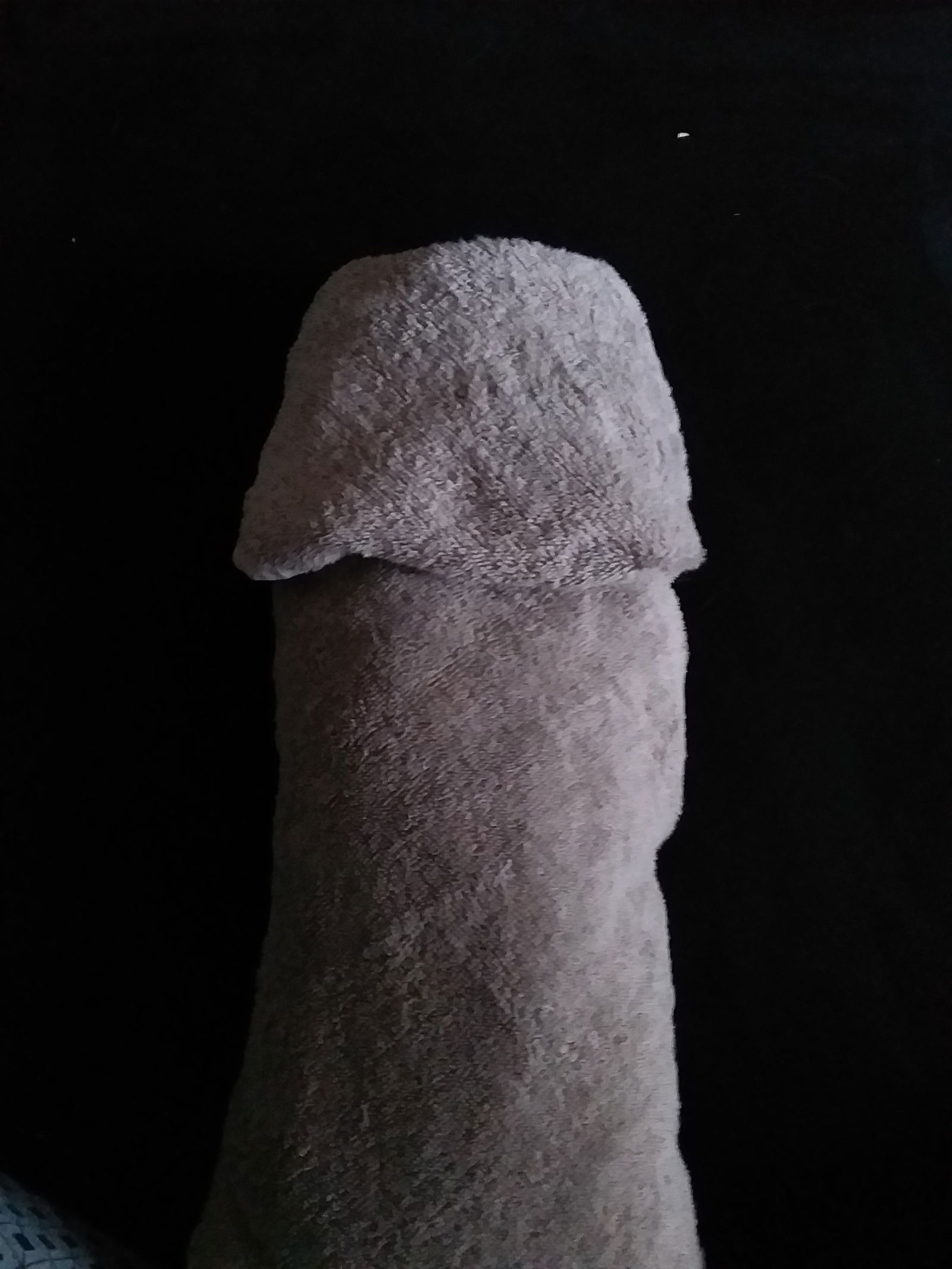 Album by KiwiCookieDough with the username @KiwiCookieDough, who is a verified user,  January 26, 2019 at 6:44 AM. The post is about the topic Amateurs and the text says 'My first attempt at adult towel art'