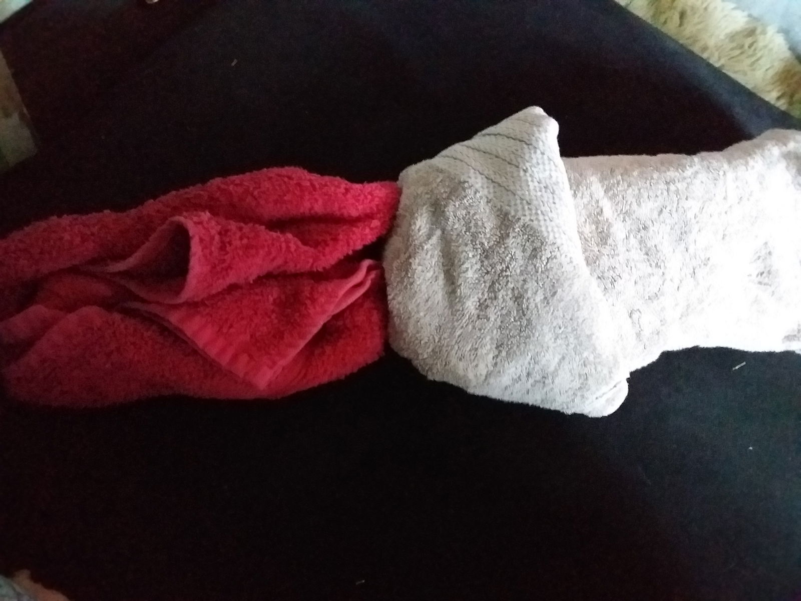 Album by KiwiCookieDough with the username @KiwiCookieDough, who is a verified user,  January 26, 2019 at 6:44 AM. The post is about the topic Amateurs and the text says 'My first attempt at adult towel art'