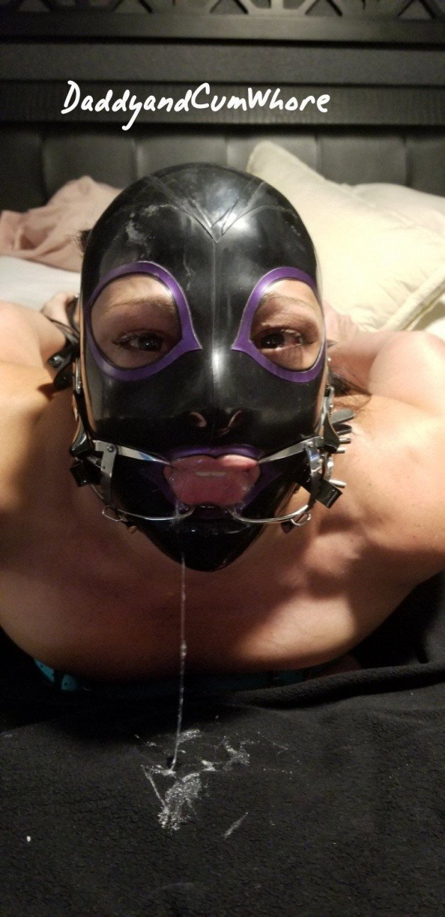 Photo by Daddy&CumWhore with the username @Daddy-CumWhore,  April 7, 2021 at 10:21 AM. The post is about the topic Bondage and the text says 'CumWhore hogtied and open mouth gagged. I love to watch her squirm and drool! #Latexhood #openmouthgag #daddyandcumwhore'