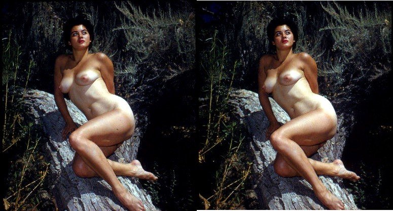 Photo by HornyFollower with the username @HornyFollower, who is a verified user,  January 28, 2019 at 3:40 PM. The post is about the topic Naked Slides: 1950 - 1970 and the text says 'A stereoscopic slide of a previous posting.
To re-create the 3D effect, cross your eyes slightly so that the two images overlap'
