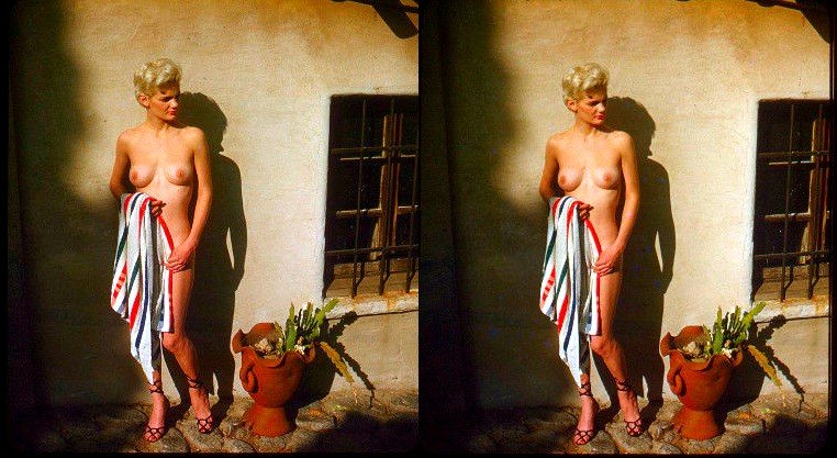 Photo by HornyFollower with the username @HornyFollower, who is a verified user,  January 28, 2019 at 5:02 PM. The post is about the topic Naked Slides: 1950 - 1970 and the text says 'A stereoscopic slide of a previous posting.
To re-create the 3D effect, cross your eyes slightly so that the two images overlap'