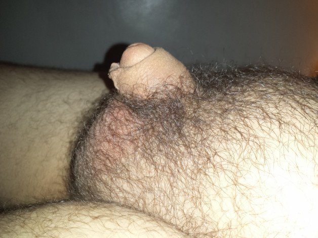 Photo by thatsmallcock with the username @thatsmallcock,  May 27, 2021 at 2:29 AM. The post is about the topic Flaccid Cock