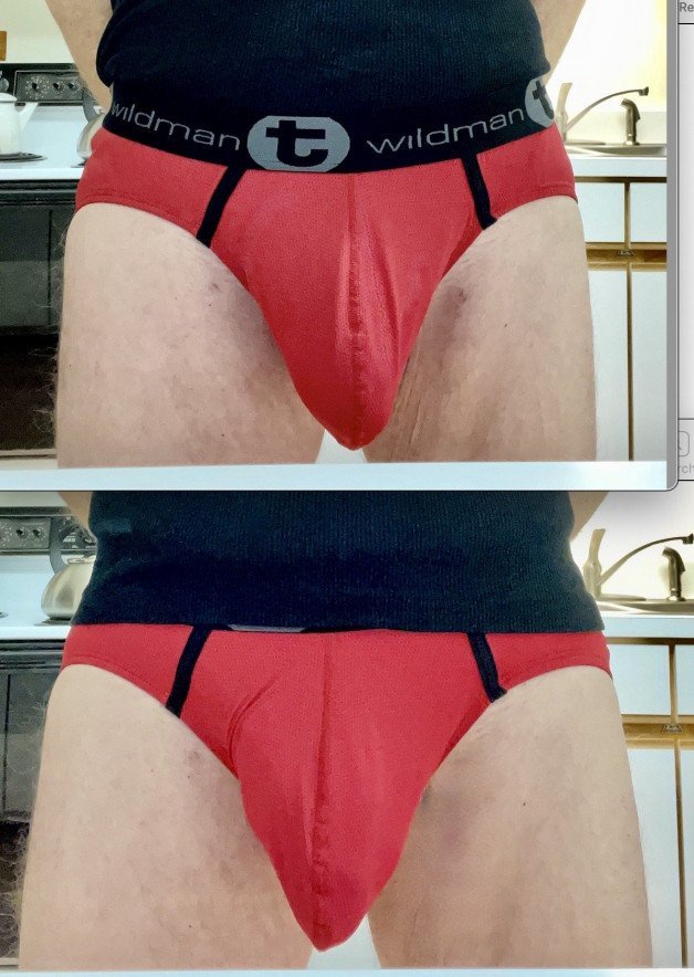 Photo by bigtitfucker with the username @bigtitfucker,  January 17, 2022 at 6:23 PM. The post is about the topic Straight Underwear and the text says 'Tucked or Untucked? WildmanT Big Boy Pouch Briefs'