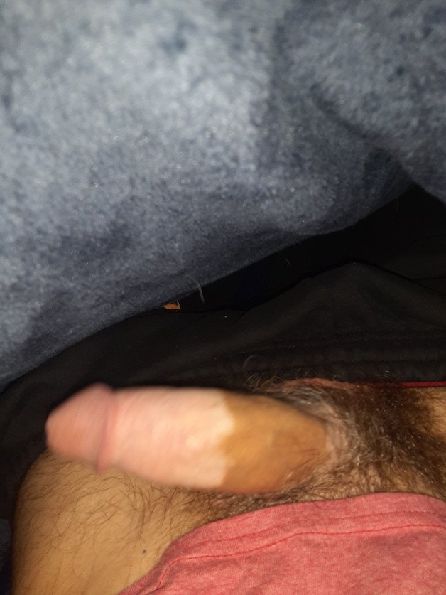 Album by geekmaster94 with the username @geekmaster94,  June 30, 2021 at 3:02 AM. The post is about the topic Homemade and the text says 'hiding a  surprise under blanket'