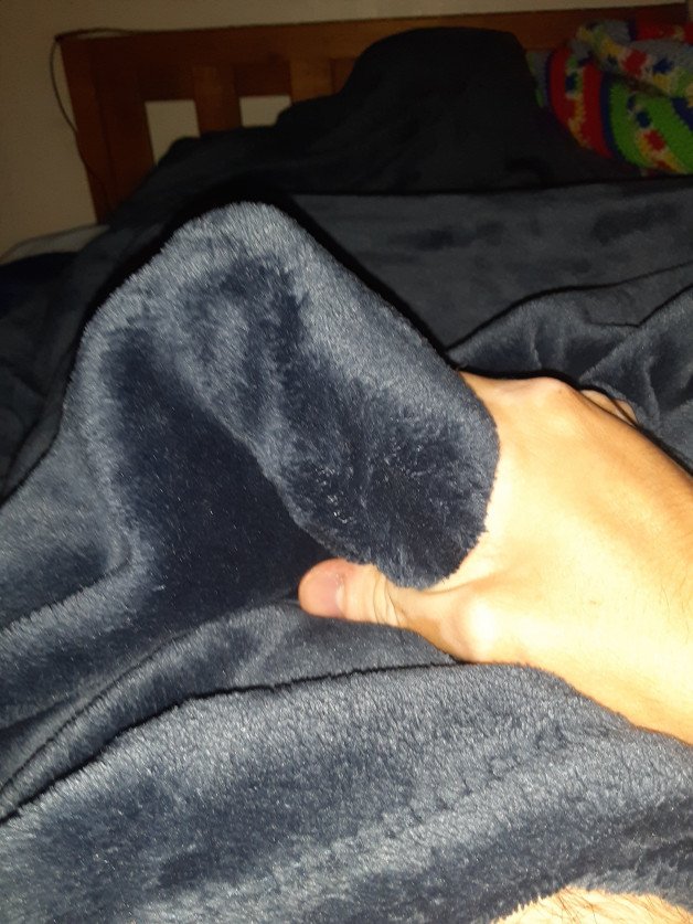 Album by geekmaster94 with the username @geekmaster94,  June 30, 2021 at 3:02 AM. The post is about the topic Homemade and the text says 'hiding a  surprise under blanket'