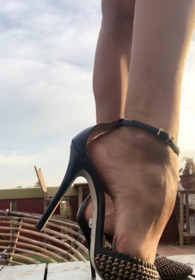 Photo by RiderFloor with the username @riderfloor, who is a star user,  May 27, 2023 at 12:31 AM. The post is about the topic Archery and Outdoors and the text says 'Will you lick these #arches?'