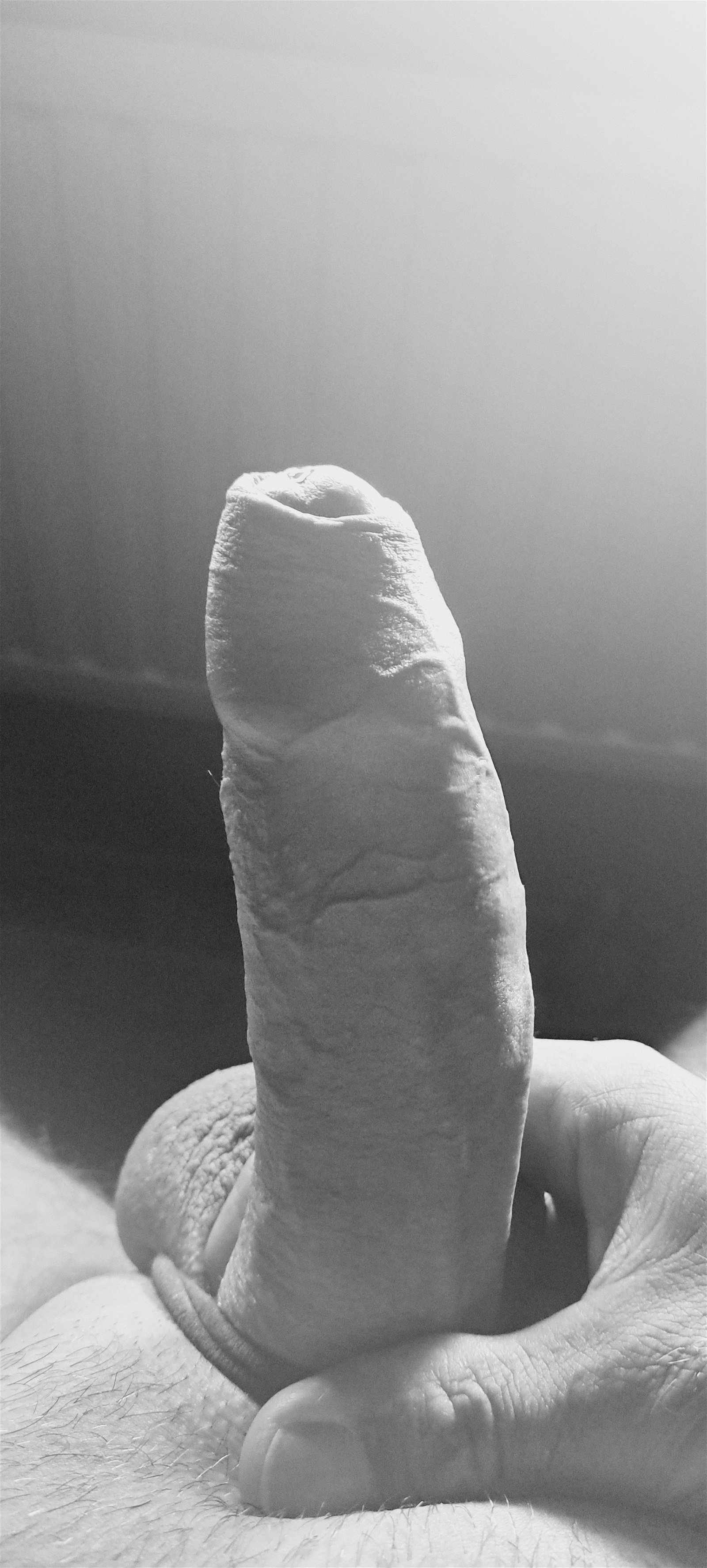 Photo by Ikke2021 with the username @Ikke2021,  August 23, 2023 at 3:11 PM. The post is about the topic Beautiful Cock and the text says 'i think look pretty nice..... amateur photographer'