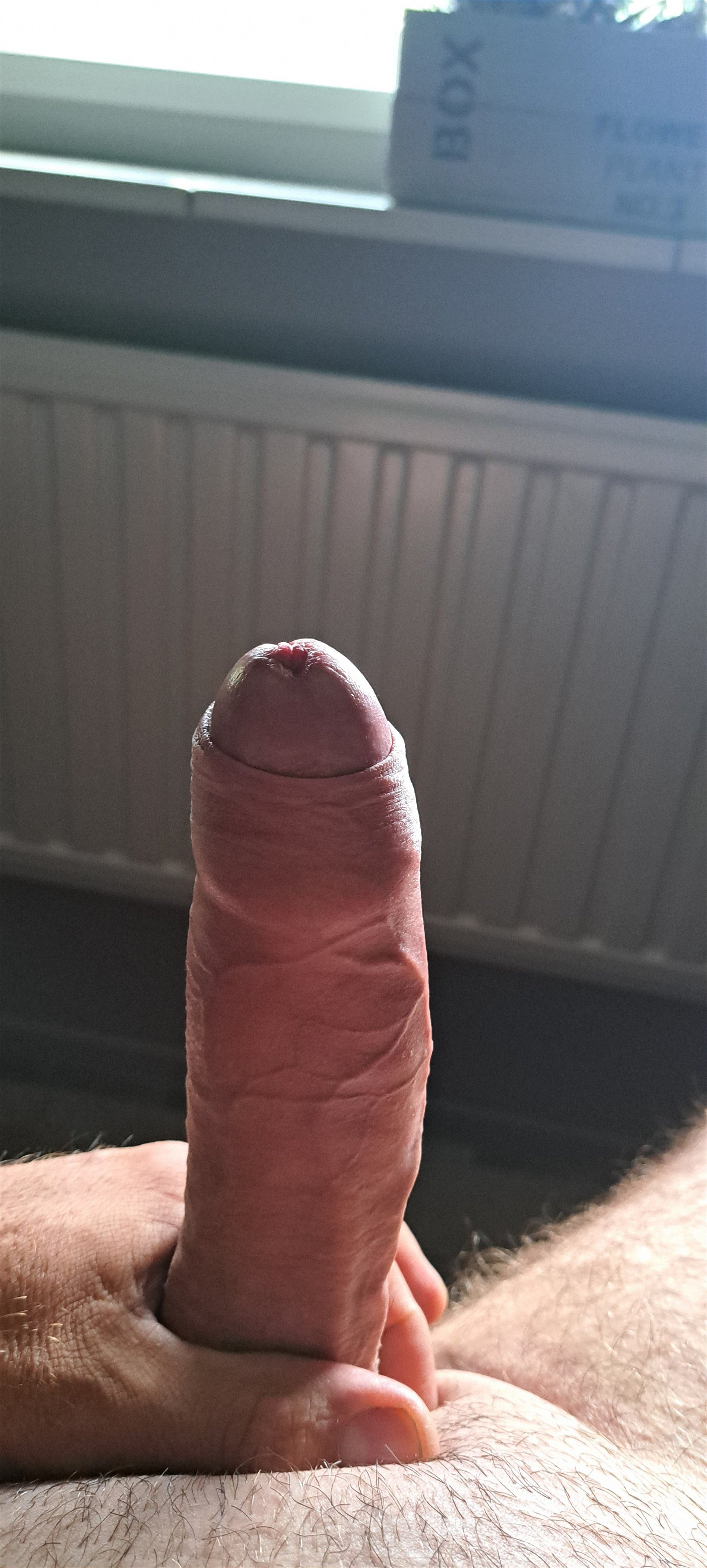 Photo by Ikke2021 with the username @Ikke2021,  August 6, 2023 at 7:25 AM. The post is about the topic Cocks Up-Close and Personal and the text says 'waking up in bed alone and feeling horny'