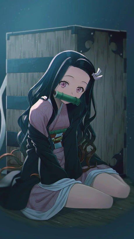 Photo by lacelover with the username @lacelover,  June 18, 2021 at 11:36 PM. The post is about the topic Hentai and the text says '#KAMADO #NEZUKO'