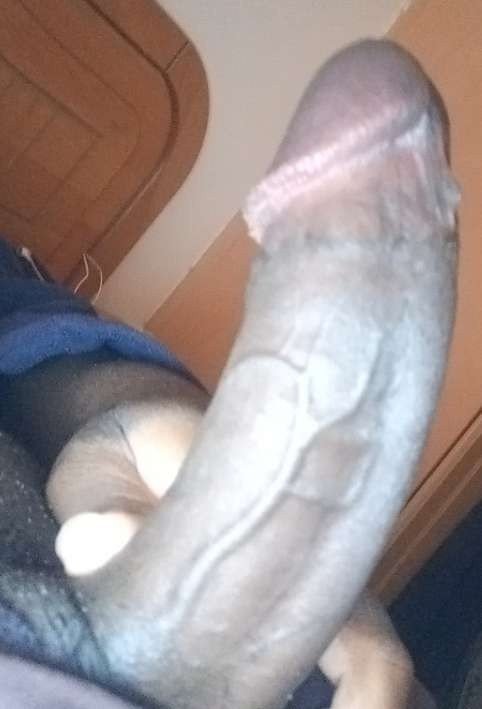 Photo by ChocolatePecker with the username @ChocolatePecker,  June 28, 2021 at 1:29 PM. The post is about the topic Big dicks and the text says 'here's my cock
#penis #dick #cock #boner #veiny #veins'