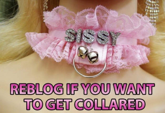 Photo by kaylenmistress with the username @kaylenmistress,  July 6, 2021 at 4:43 PM. The post is about the topic Sissy_Faggot