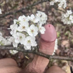 Shared Photo by testudick with the username @testudick,  April 10, 2024 at 3:00 PM. The post is about the topic Happiness Is and the text says 'Happiness is ... enjoying nature au natural
#cock #nude #naked #public'