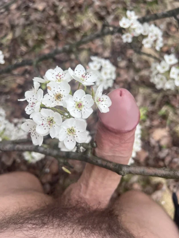 Photo by testudick with the username @testudick,  March 28, 2024 at 1:46 PM. The post is about the topic Nude or Sex In Nature and the text says 'spring is here'