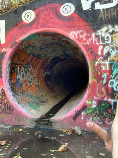 Photo by testudick with the username @testudick,  September 8, 2021 at 4:29 PM. The post is about the topic Gay and the text says 'Tunnel with eyes...

#me #public #cock'