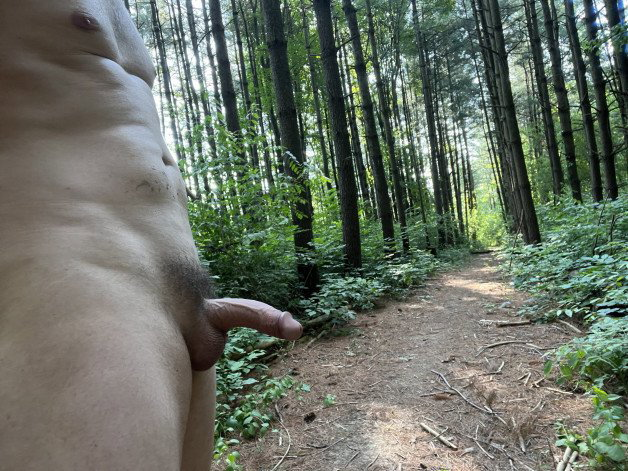 Photo by testudick with the username @testudick,  August 5, 2023 at 5:29 PM. The post is about the topic The Great Outdoors and the text says 'into the woods'