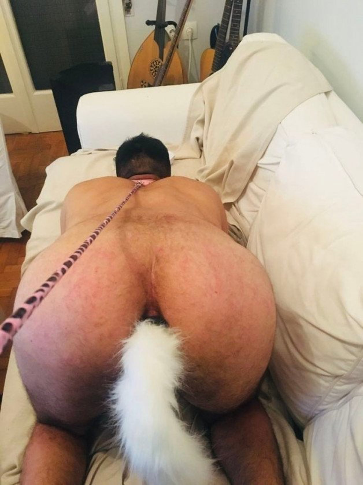 Photo by CallMeMichaela with the username @CallMeMichaela,  January 25, 2022 at 1:12 PM. The post is about the topic Submissive Slaves and the text says 'she has me with dog leash and tail-buttplug in my ass..
#me'