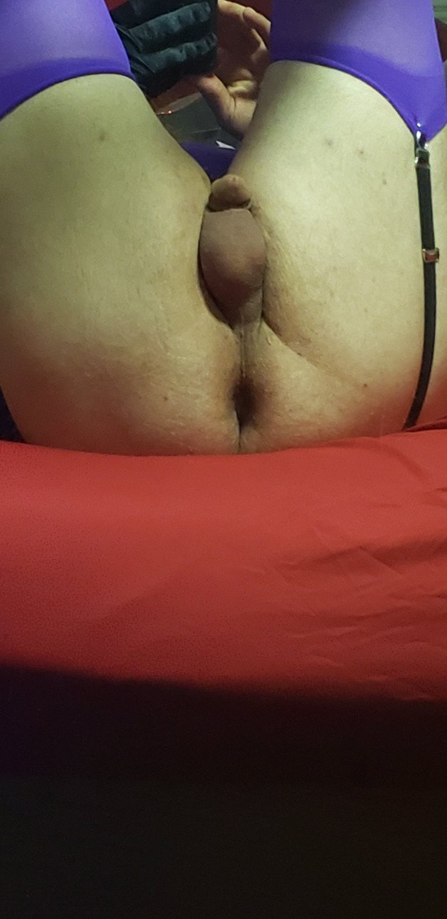 Photo by SexyLadyandSissySlut with the username @SexyLadyandSissySlut,  August 22, 2021 at 3:35 PM. The post is about the topic Pegged Sissy and the text says 'sissy slut says give me that big cock sexy lady lick it and stick it
#ass #assplay #anal #analplay #bi #bicouple #bisexual #bisexualcouple #CD #crossdresser #cockshaming #dickshaming #femdom #FLR #femboy #feminization #fishnets #gurl #girlyboy #hotwife..'