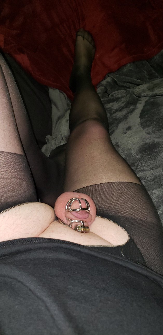 Album by SexyLadyandSissySlut with the username @SexyLadyandSissySlut,  August 16, 2021 at 5:55 AM. The post is about the topic Sissy and the text says '#cagedsissy #cagedfag #sissyslut #sissy #littledick #tinydick#FLR #chastity #bi #bisexual #bicouple #caged #femdom #hotwife #kinkycouple #littledick #sissy #slut #tinydick #chastitybulge #teamlocked #keyholder #cagedfag #cageddick #bicouple'