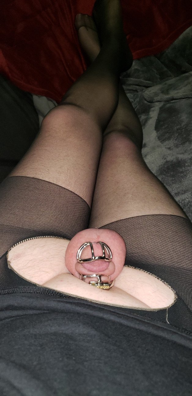 Album by SexyLadyandSissySlut with the username @SexyLadyandSissySlut,  August 16, 2021 at 5:55 AM. The post is about the topic Sissy and the text says '#cagedsissy #cagedfag #sissyslut #sissy #littledick #tinydick#FLR #chastity #bi #bisexual #bicouple #caged #femdom #hotwife #kinkycouple #littledick #sissy #slut #tinydick #chastitybulge #teamlocked #keyholder #cagedfag #cageddick #bicouple'