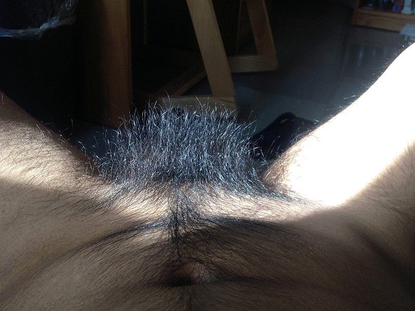 Photo by hairyforeskin with the username @hairyforeskin,  March 11, 2024 at 4:43 PM. The post is about the topic erect intact penis and the text says 'Spotlight on my erection'