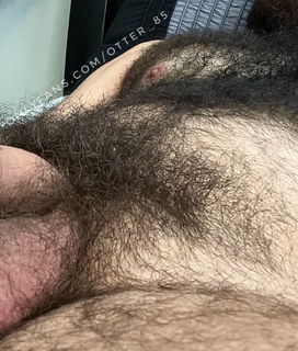 Photo by stonerguy95 with the username @stonerguy95, who is a verified user,  November 29, 2022 at 5:35 PM. The post is about the topic Gay Hairy Men and the text says 'Hairy Bush Bro on twitter 😍
 the things i would do for this man 🥵'