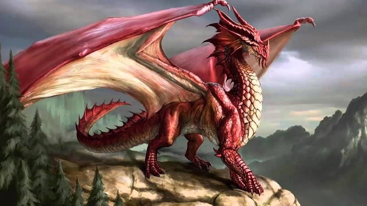 Cover photo of DragonyFoxy
