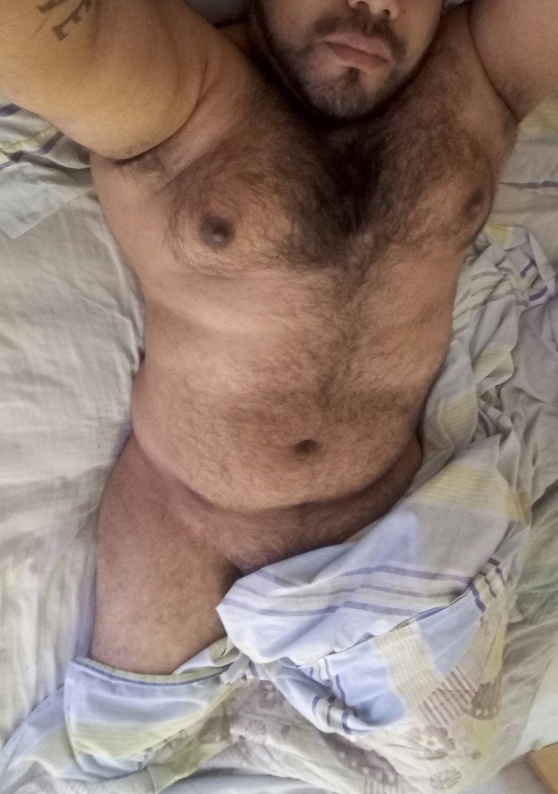 Photo by Jorge Elias with the username @George91,  August 31, 2021 at 11:42 AM. The post is about the topic Naturally Furry Guys and the text says 'Good morning !'