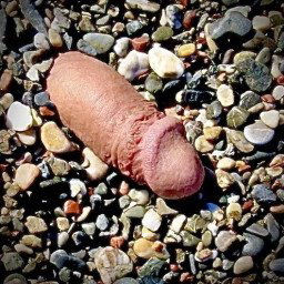 Photo by Sikontol with the username @Sikontol,  February 4, 2024 at 3:12 PM. The post is about the topic Fun and funny and the text says '#kontol #cock #funny #nudebeach

Lost: Rock-hard cock on nude beach. Pls return to owner asap'