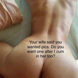 Photo by Qualitygirl2112 with the username @Qualitygirl2112,  August 12, 2023 at 4:32 PM. The post is about the topic Hotwife memes