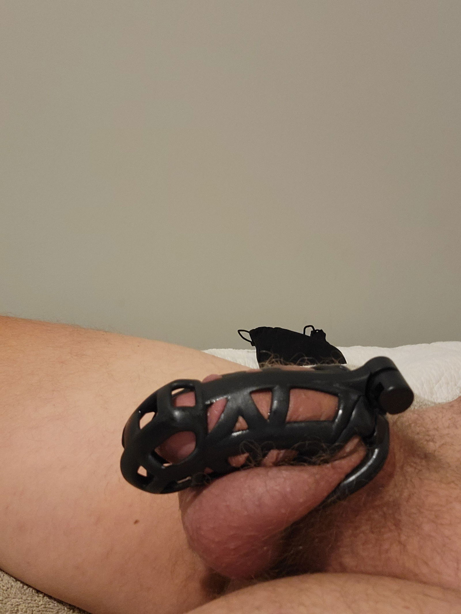 Album by Cockluv101 with the username @Cockluv101,  November 22, 2023 at 5:06 AM. The post is about the topic Male Chastity and the text says 'New cage!  New to being locked up as well'