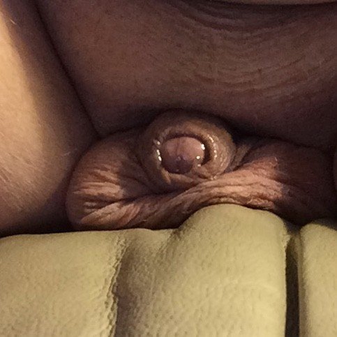 Photo by Tinyharold with the username @Tinyharold,  September 24, 2023 at 7:03 AM. The post is about the topic Precum