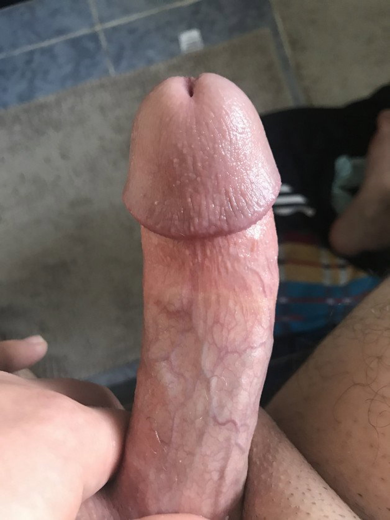 Photo by Hornymen333 with the username @Hornymen333,  October 25, 2021 at 5:35 PM. The post is about the topic Big dicks and the text says 'fresh young dick'