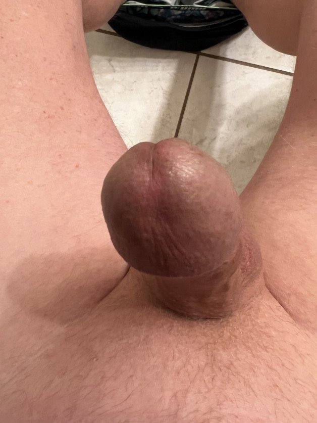 Photo by Desertguy with the username @Desertguy, who is a verified user,  February 11, 2023 at 12:56 PM. The post is about the topic Penis head and the text says 'My Dick'