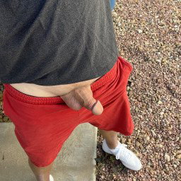 Photo by Desertguy with the username @Desertguy, who is a verified user,  November 13, 2022 at 12:56 AM. The post is about the topic DIcks out and the text says 'nice day out, red workout shorts, tennis shoes and dick'