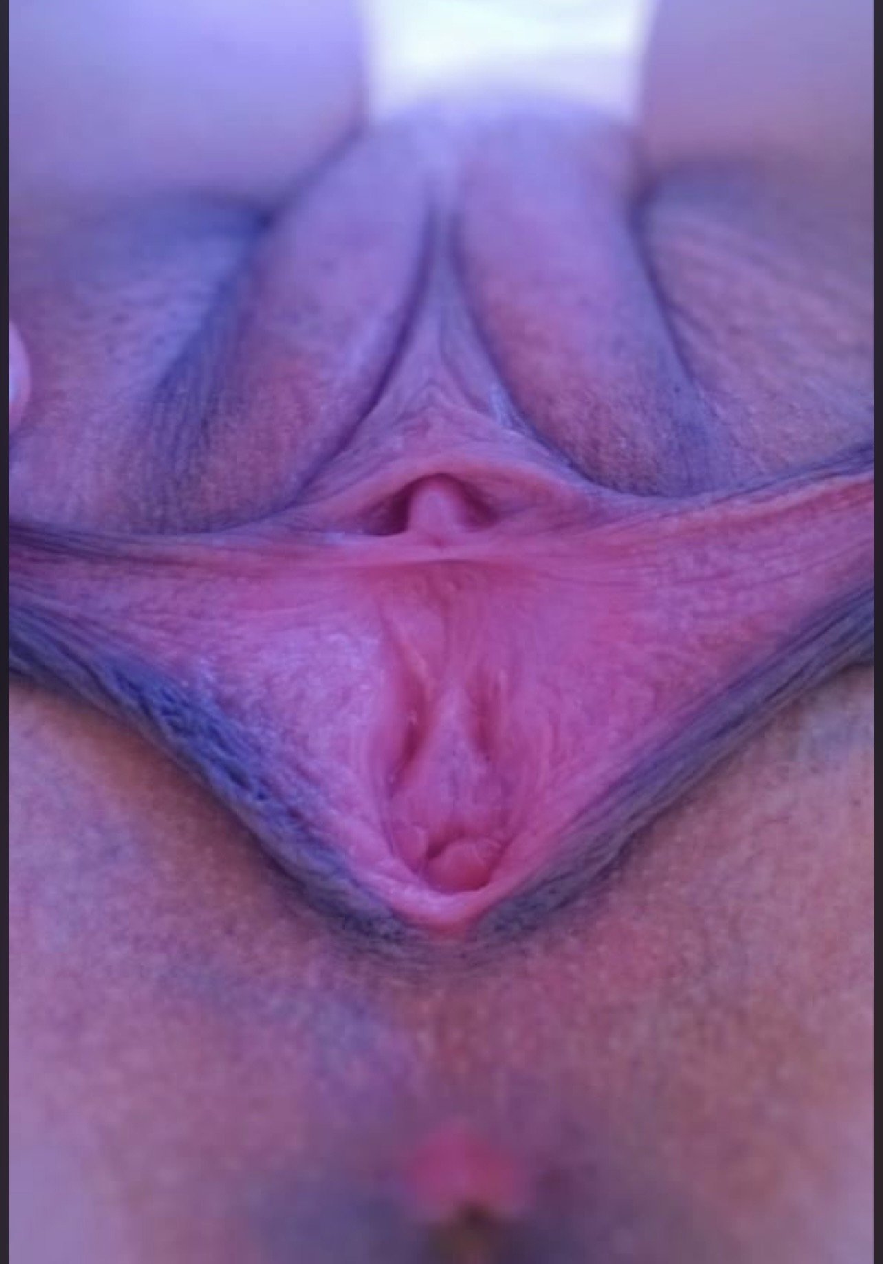 Photo by Pussypussyandpussy with the username @Pussypussyandpussy,  December 21, 2021 at 12:21 AM. The post is about the topic Meaty Pussy Lips, Creampies and Milfs