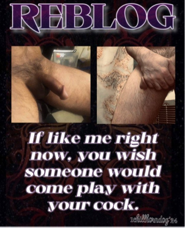 Photo by 1chillhorndog with the username @1chillhorndog, posted on February 14, 2024. The post is about the topic random sexy stuff