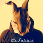 rabbit-48