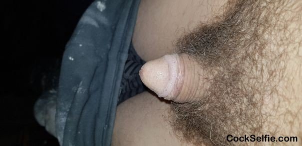 Album by Bomanboy with the username @Bomanboy, who is a verified user,  April 12, 2022 at 5:14 PM. The post is about the topic Small cocks and panties