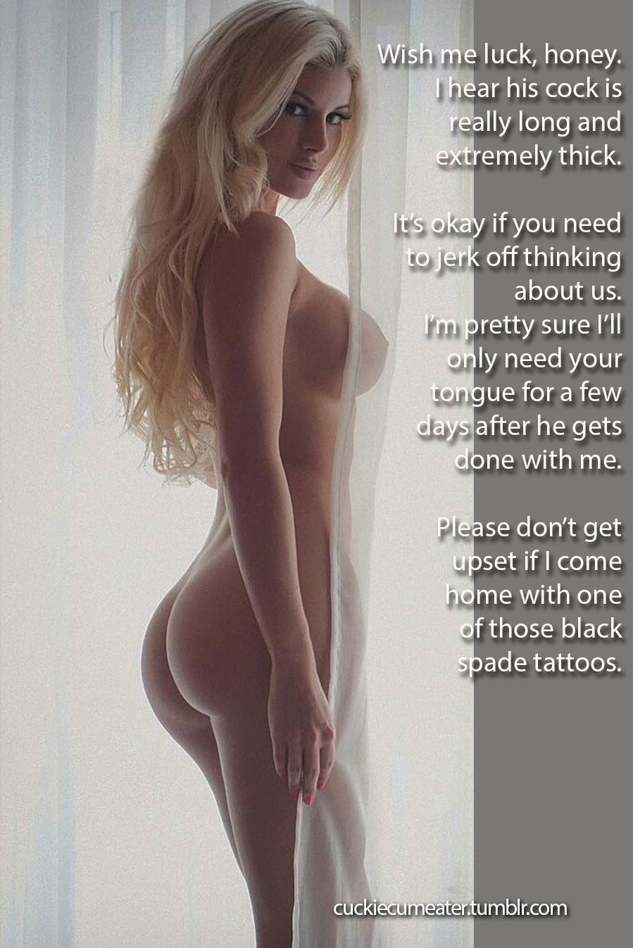 Album by cuckiecumeater with the username @cuckiecumeater, who is a verified user,  April 6, 2019 at 10:38 PM. The post is about the topic Interracial Cuckolding