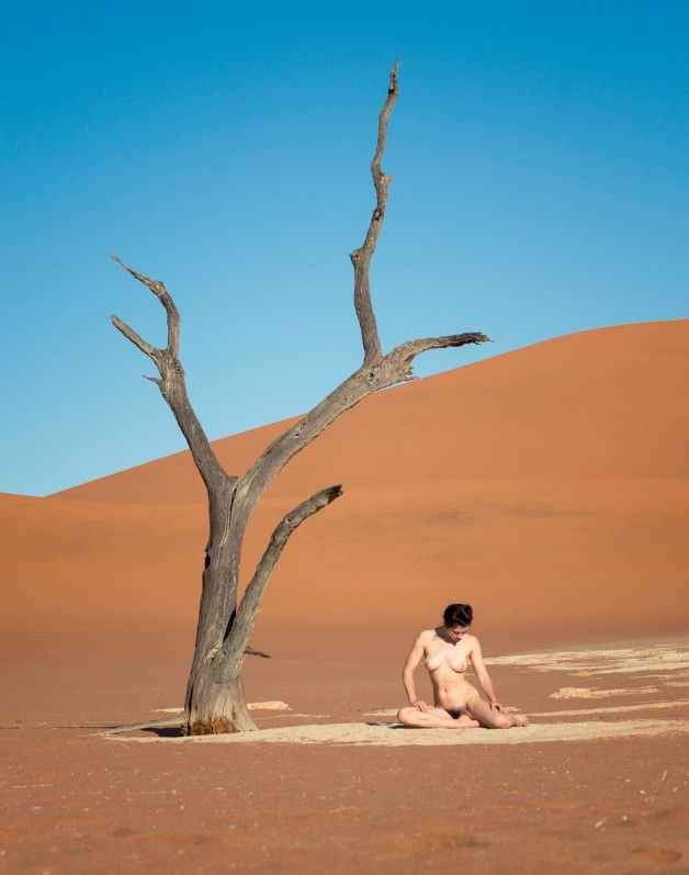 Photo by wiegeilistdasdenn with the username @wiegeilistdasdenn,  October 14, 2016 at 8:39 AM and the text says 'billymonday:

Shade Tree (2016)There’s not much shade at Namibia’s famous Deadvlei. #outdoors'