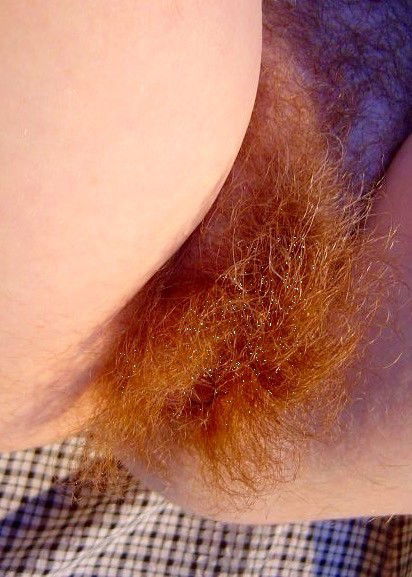 Photo by wiegeilistdasdenn with the username @wiegeilistdasdenn,  February 23, 2015 at 8:58 AM and the text says 'voyeur-and-proud:

Tasty Red Bush #redhead'