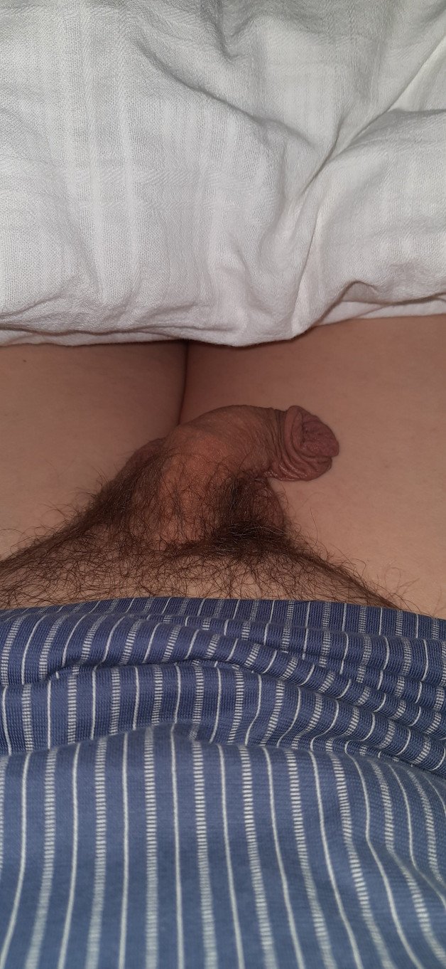 Photo by Turmtaucher with the username @Turmtaucher, who is a verified user,  April 4, 2023 at 9:16 AM. The post is about the topic DIcks out and the text says 'Early in the morning and still sleeping ;-)'